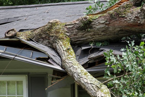 Storm Remediation in Maryville