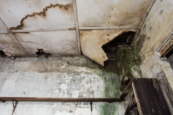 Water Damage Service in Maryville