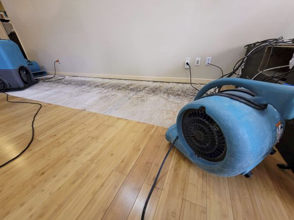 Water Damage Mitigation in Maryville