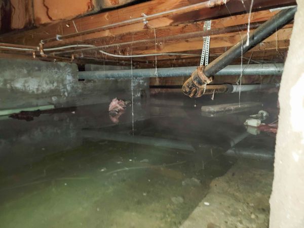 Water Mitigation Service in Maryville