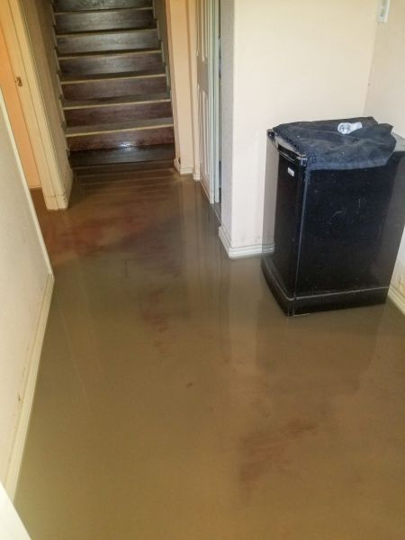 Cost of Emergency Water Removal in Maryville