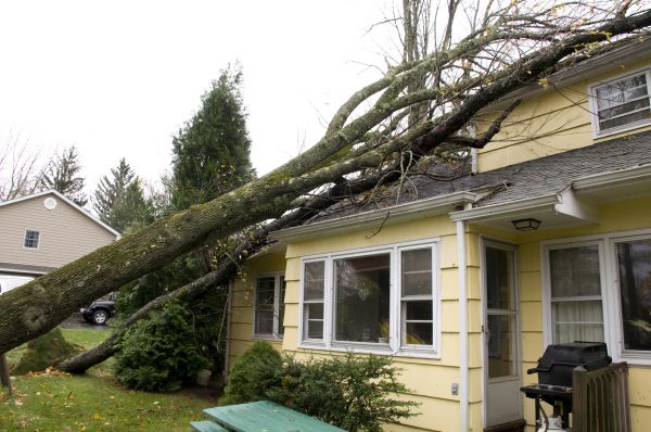 Hurricane Damage Repair in Maryville